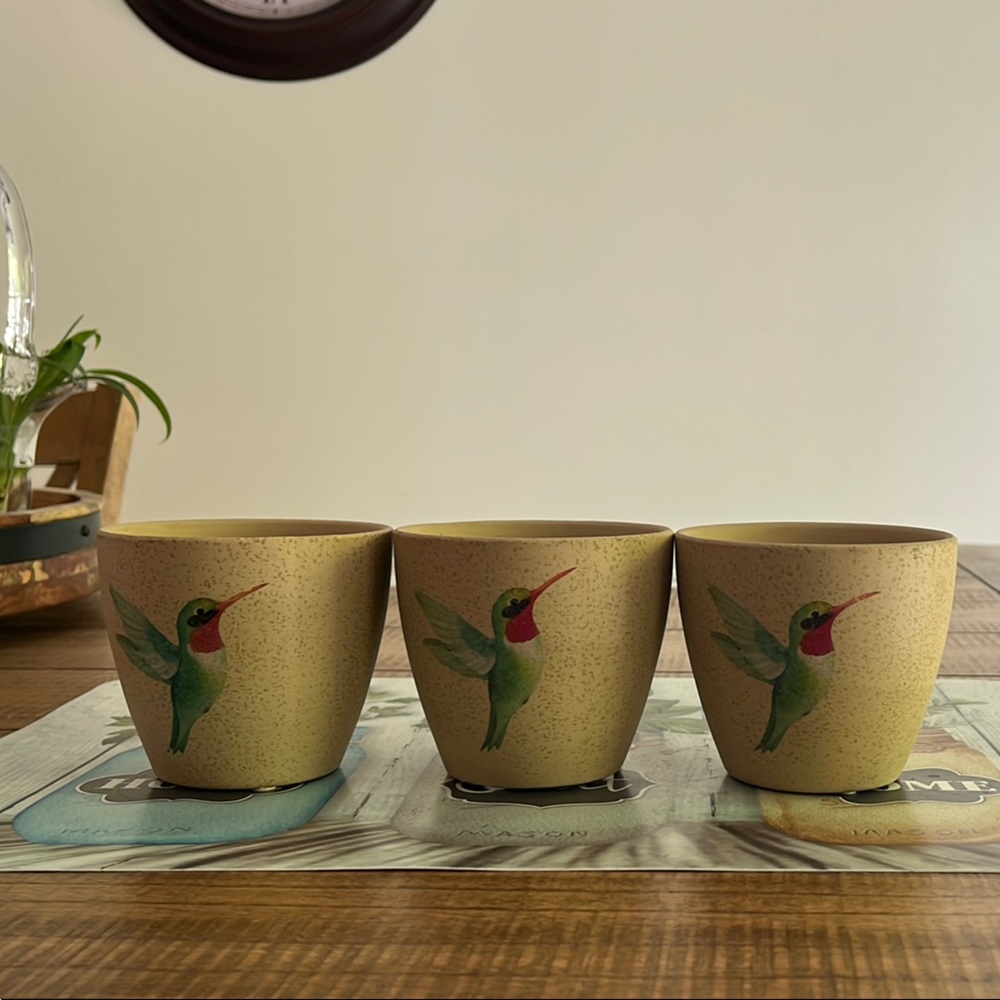 Trendspot Set of Three Hummingbird pots